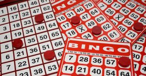 fantastic bingo offers